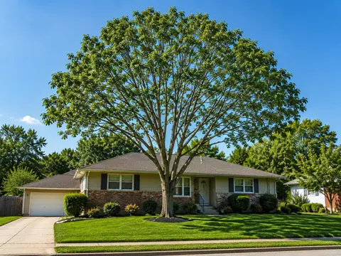 after tree work