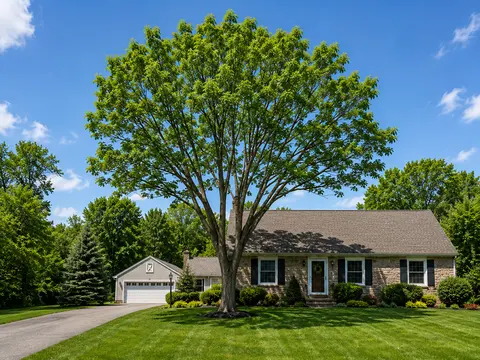 after tree work
