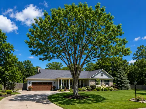 after tree work